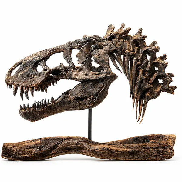 Dinosaurs