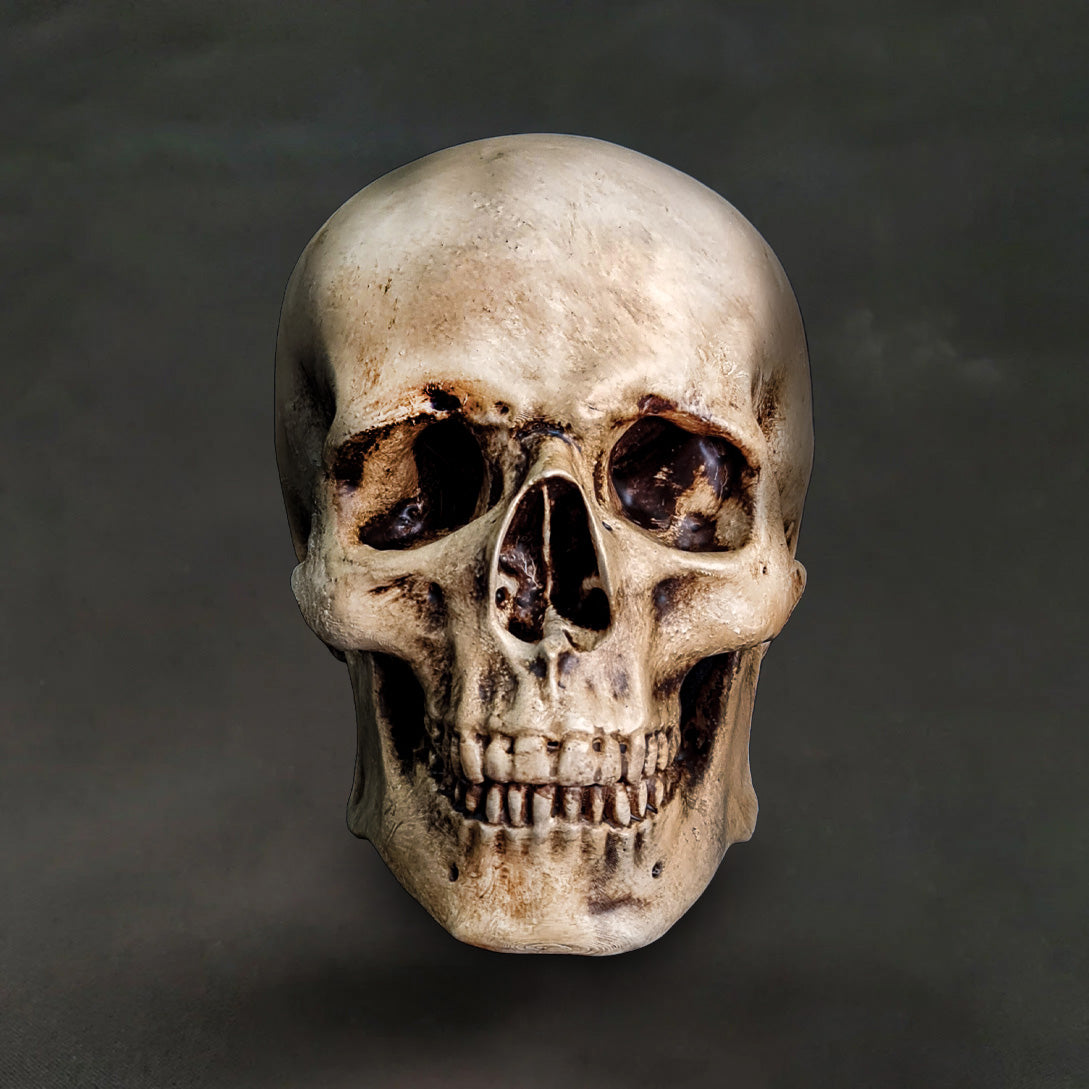 Skull A