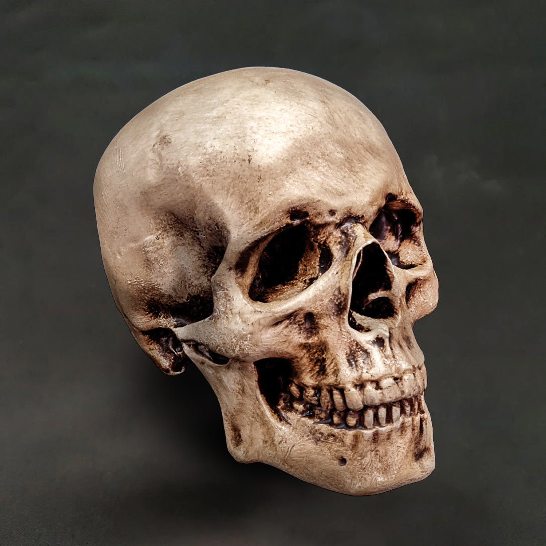 Skull A